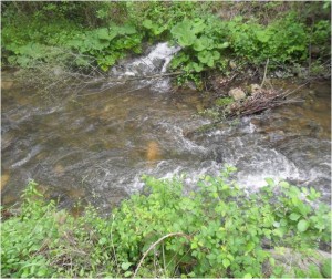 Kvaliteta vode_html_m434e0bab