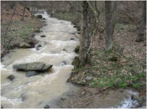 Potok u kišnom razdoblju