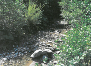 Potok u sušnom razdoblju