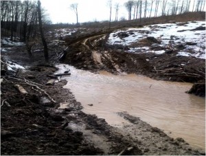 Potok za vrijeme šumarskih radova