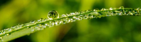 „Više je savršenstva u kapljici vode, nego u bilo kojem stroju kojeg je čovjek napravio.“ - Albert Einstein